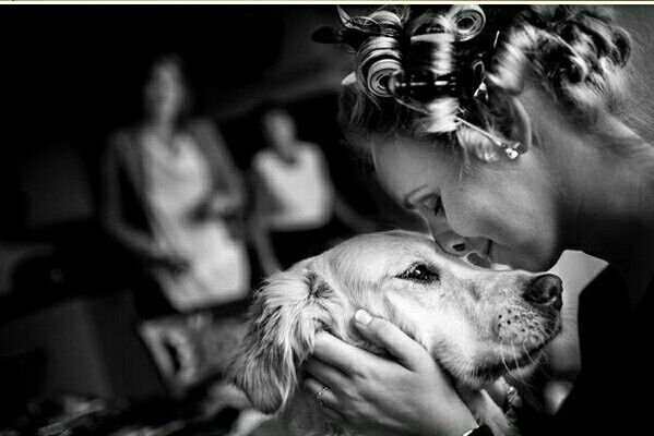 Decirle adiós a tu mascota 🐶❤ - 2