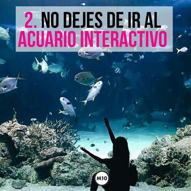 10 cosas q hacer en Cancún 🌞 2