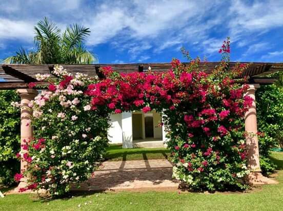 Hoy fuimos a ver el jardin.. - 1