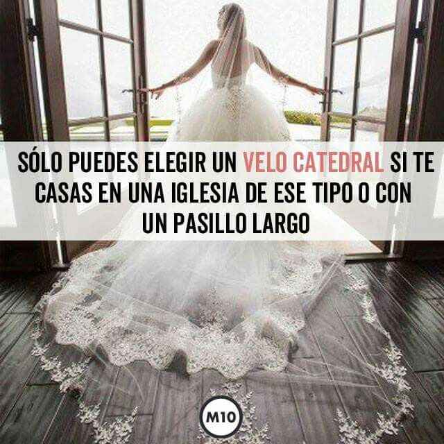 Reglas del velo👰 - 6