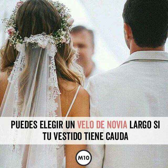 Reglas del velo👰 - 7