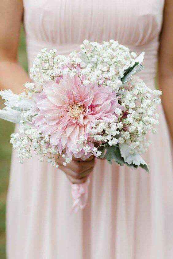 Ramo de dalias 💐 - 3