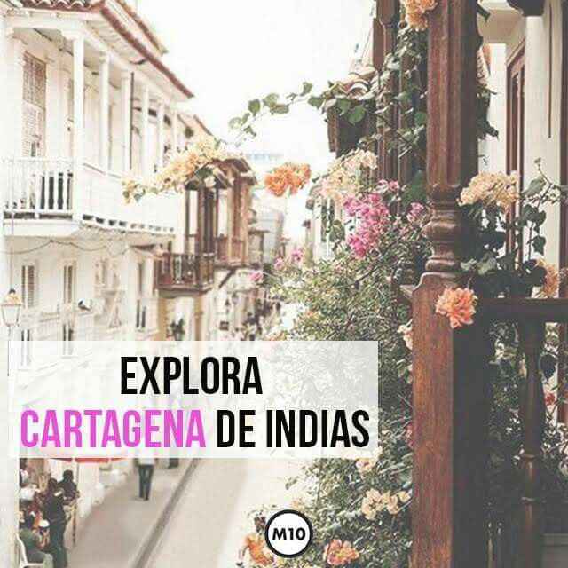 🍯🌙 en Colombia - 6