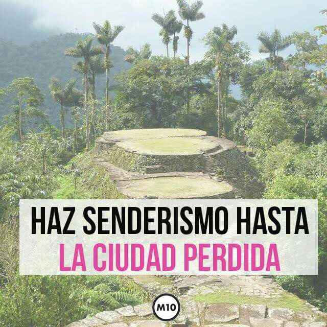 🍯🌙 en Colombia - 9