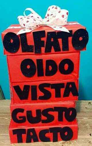 Regalo de los 5 sentidos 💕 - 1