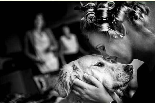 Decirle adiós a tu mascota 🐶❤ - 2