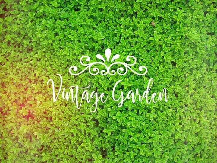 Jardín vintage - 1