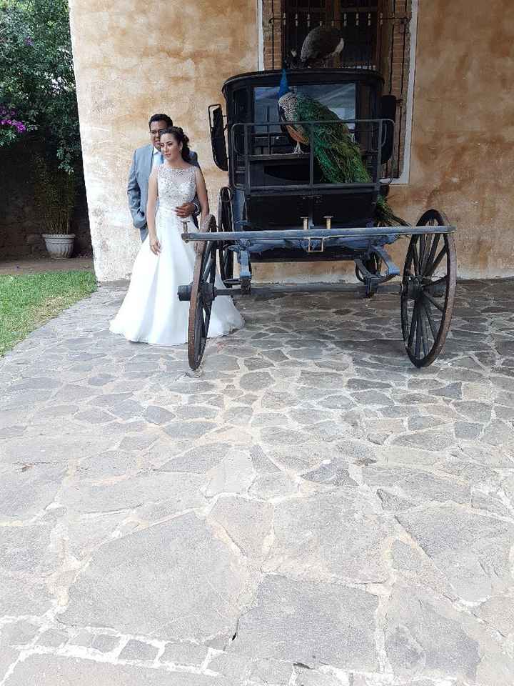 Sesión trash te dress - 6