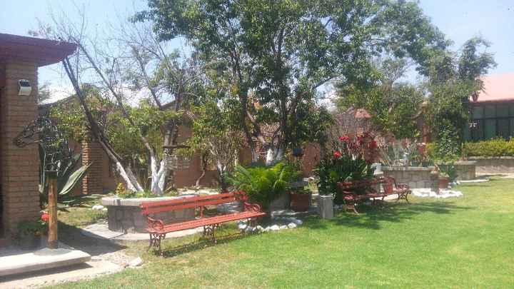 Ideas para adornar y decorar mi jardin - 1