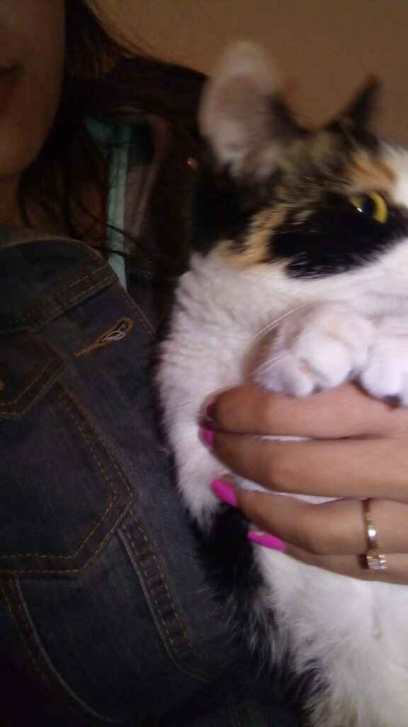Compartan la foto favorita de su anillo!! - 1