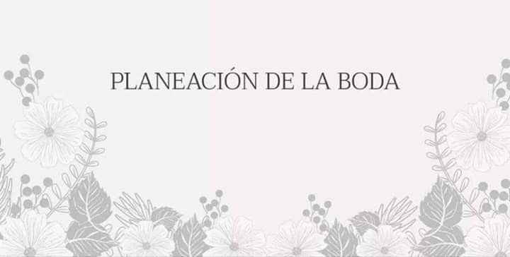 Planeación de la boda - 1