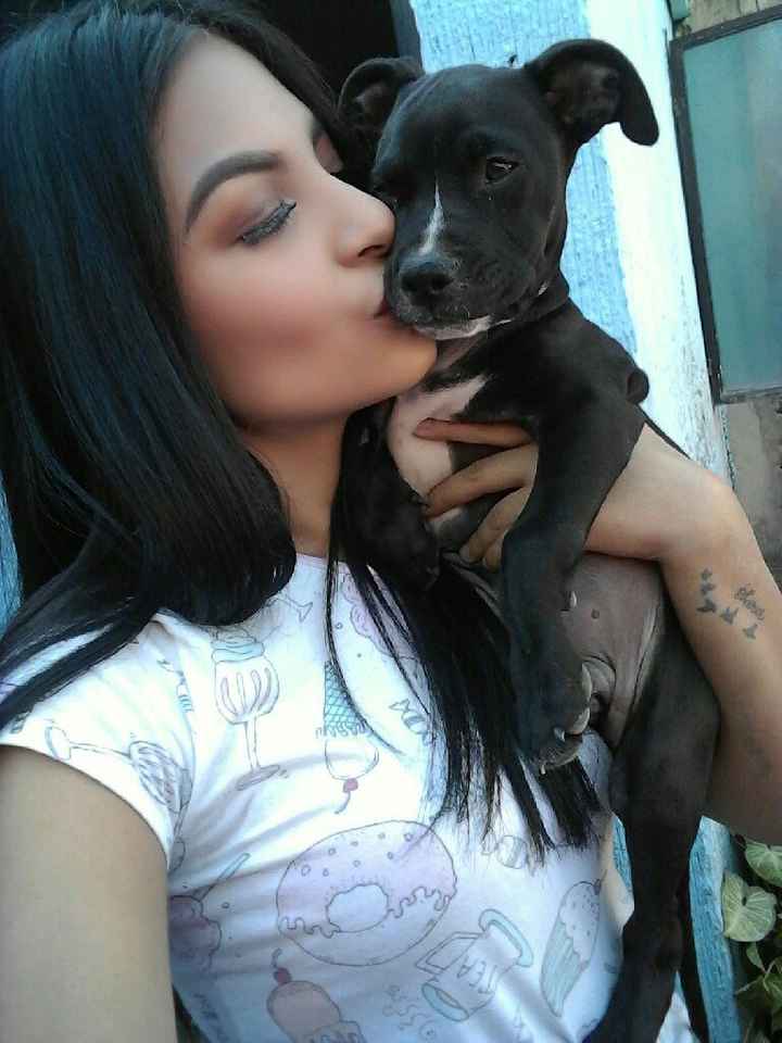 Best dogs or dog of honor - 1