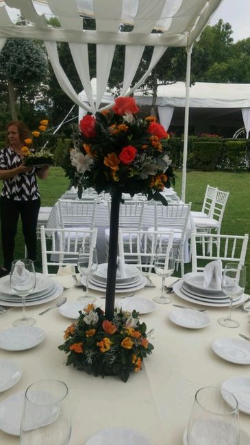 Avances a 40 dias - 5