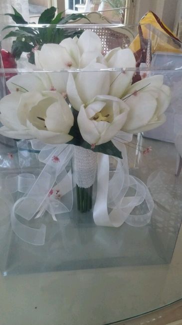 Avances a 40 dias - 7