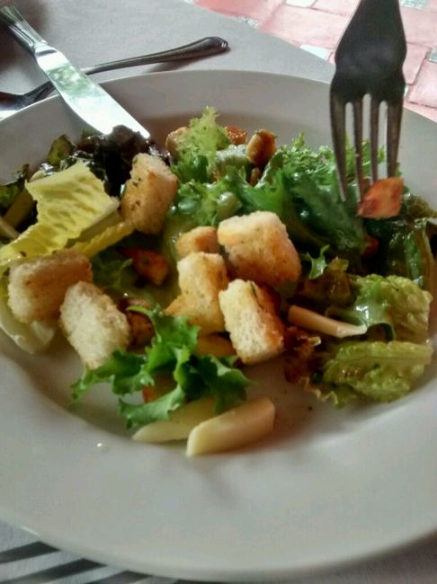 Avances a 40 dias - 8