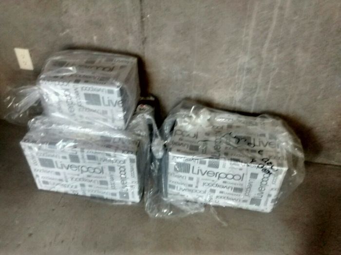 Avances a 40 dias - 11