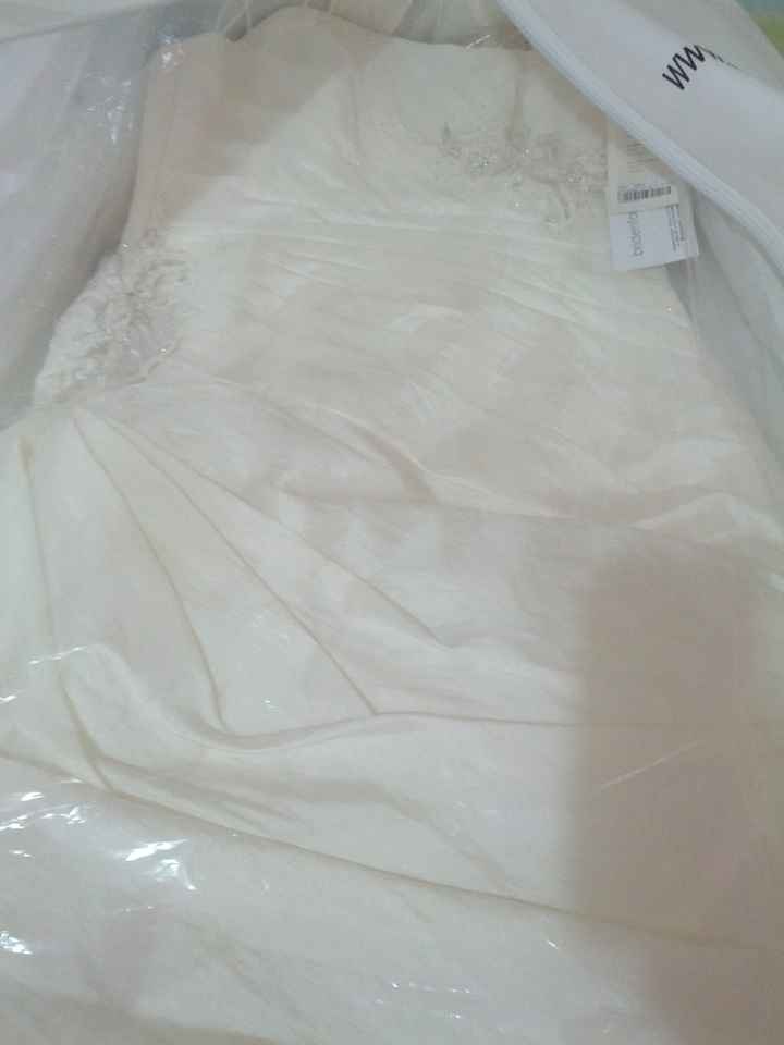 Mis avances a 212 días  - 9