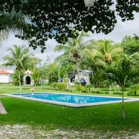 alberca