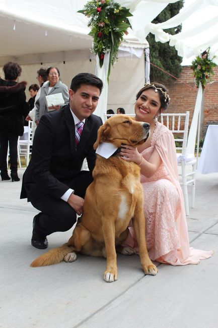 le valiá y no quería voltear