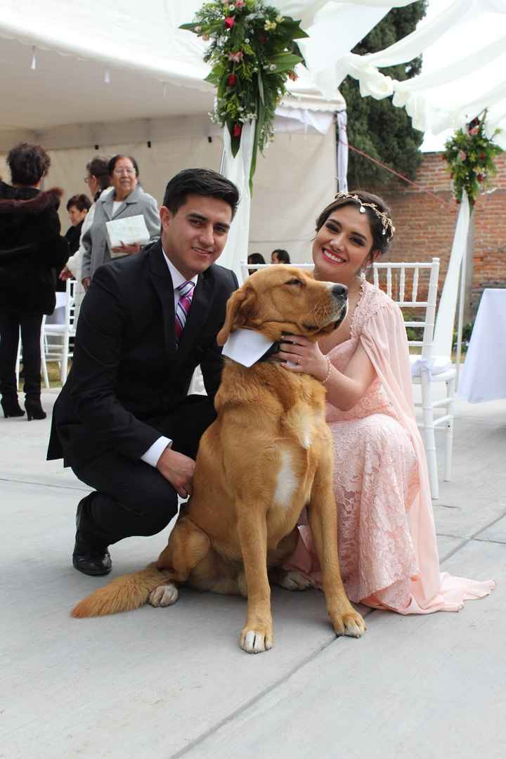 le valiá y no quería voltear