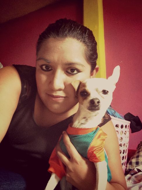 Llevar a mi mascota o no??? - 2