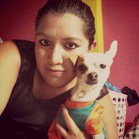 Llevar a mi mascota o no??? - 2