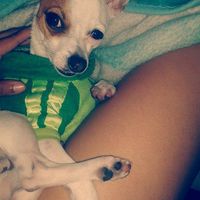 La foto de tu mascota! - 1