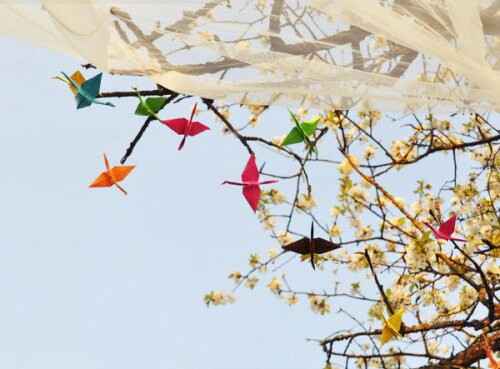 Wedding brain storm. lluvia de ideas de la boda! - 14