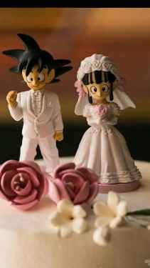 amantes de GOKU