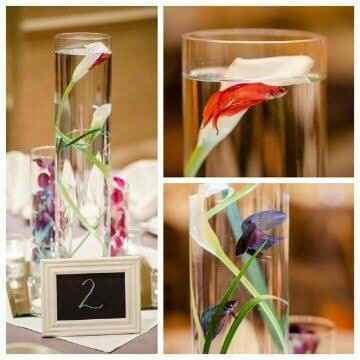 Boda tematica: peces - 17