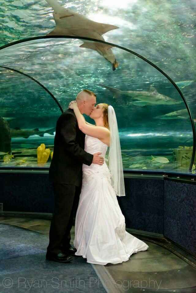 Boda tematica: peces - 42