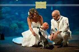 Boda tematica: peces - 43