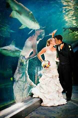 Boda tematica: peces - 44