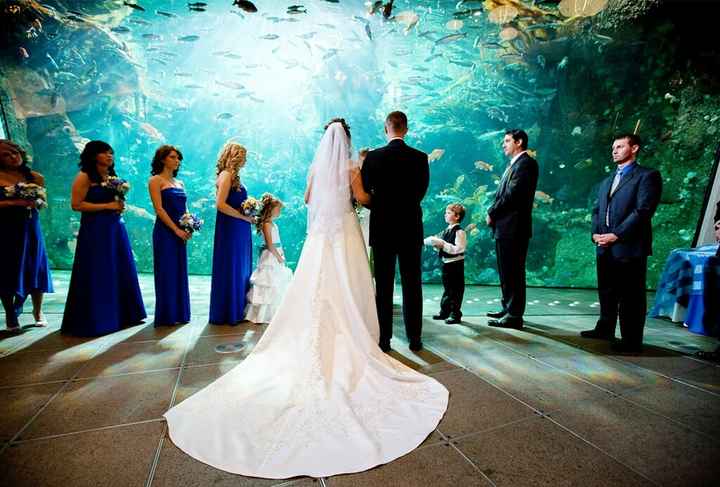 Boda tematica: peces - 52