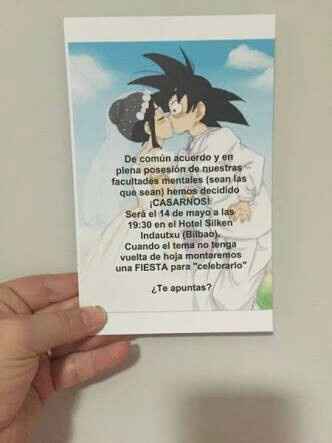Boda tematica: dragon ball - 28