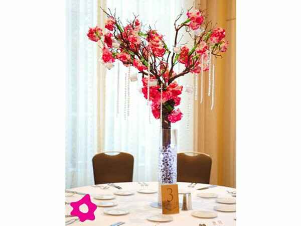 Combinaciones de colores en rojo y blanco - 3