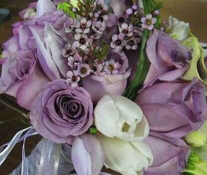 Combinacion de colores ivory y lila - 17