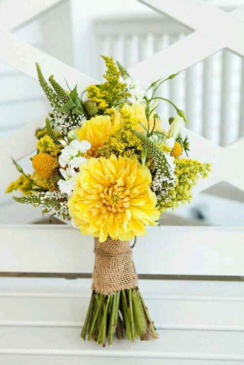 Combinación de colores amarillo y blanco - 20