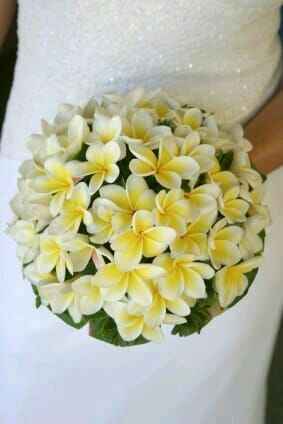 Combinación de colores amarillo y blanco - 23
