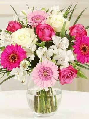 Combinaciones de colores de blanco y rosa - 15
