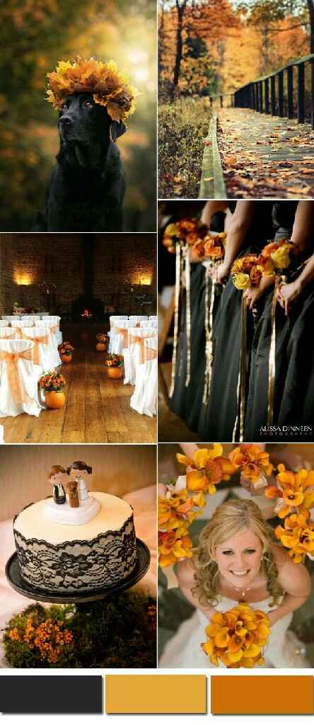 Combinaciones de colores blanco y naranja - 26