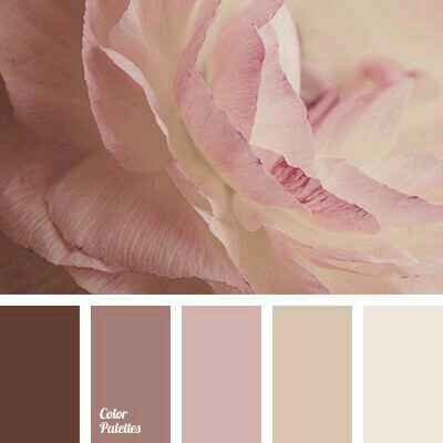 Combinaciones de colores en café y rosa - 22