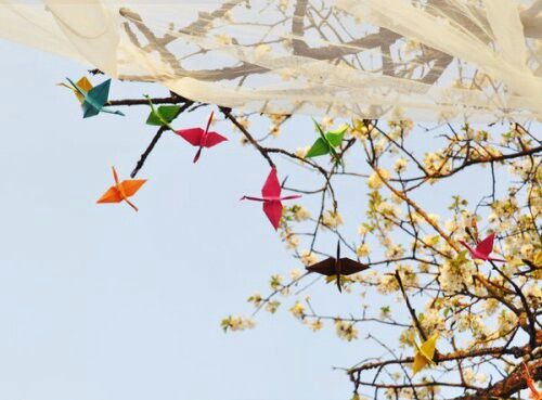Wedding brain storm. lluvia de ideas de la boda! - 14