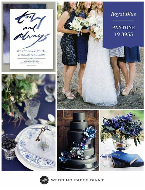 Combinaciones de colores azul marino y plateado - 3