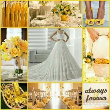 Combinaciones de colores amarillo y coral - 16