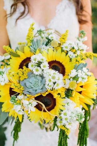 Combinaciones de colores amarillo y coral - 17