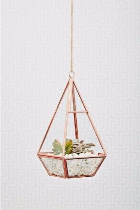 ideas 15