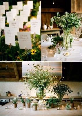 ideas 15