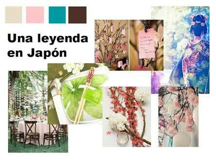 Combinación de colores 