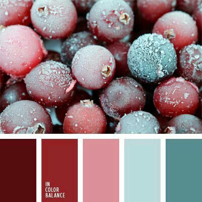 Combinación de vino y azul marino - 34